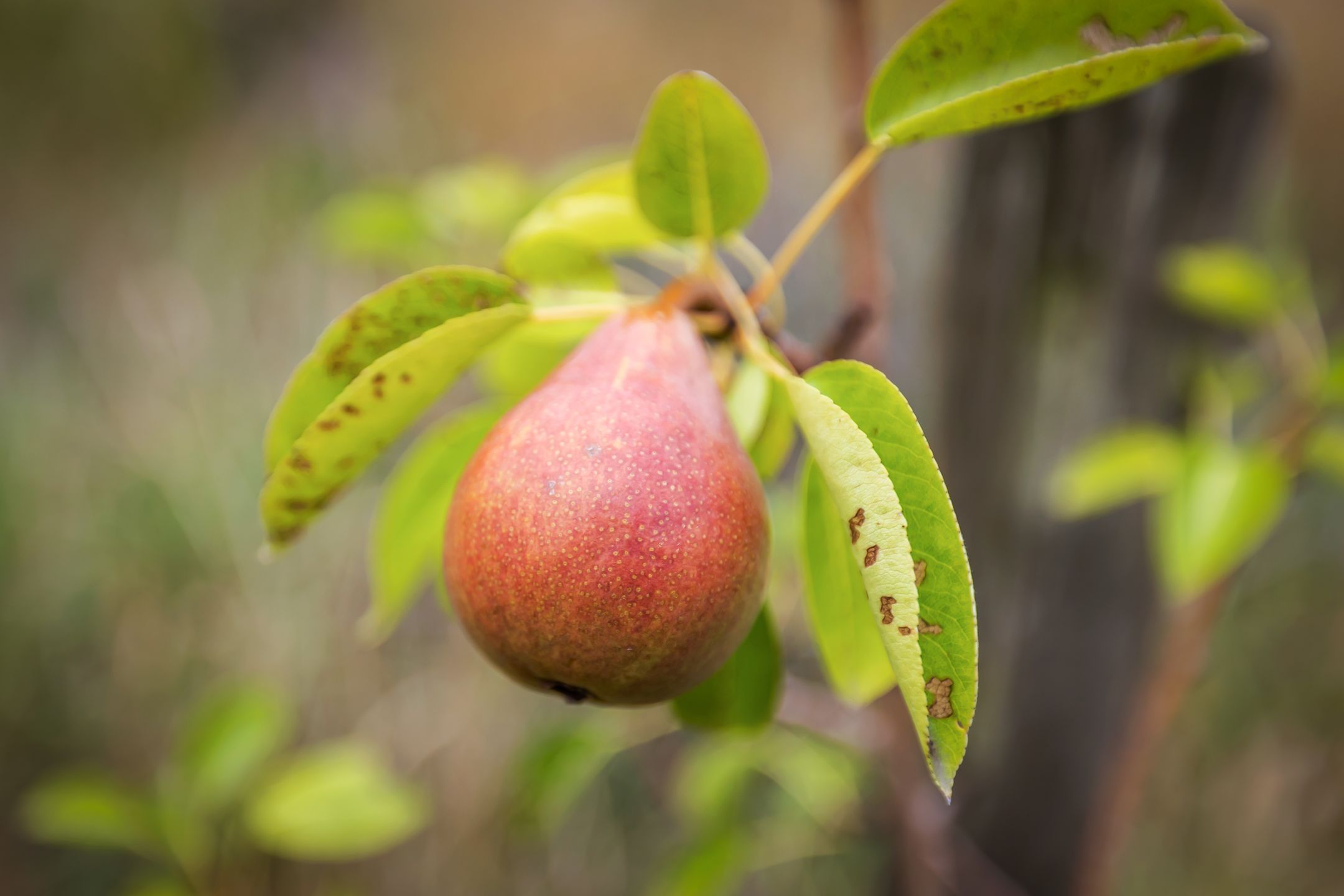 Foto 57 van Tijsweg 1