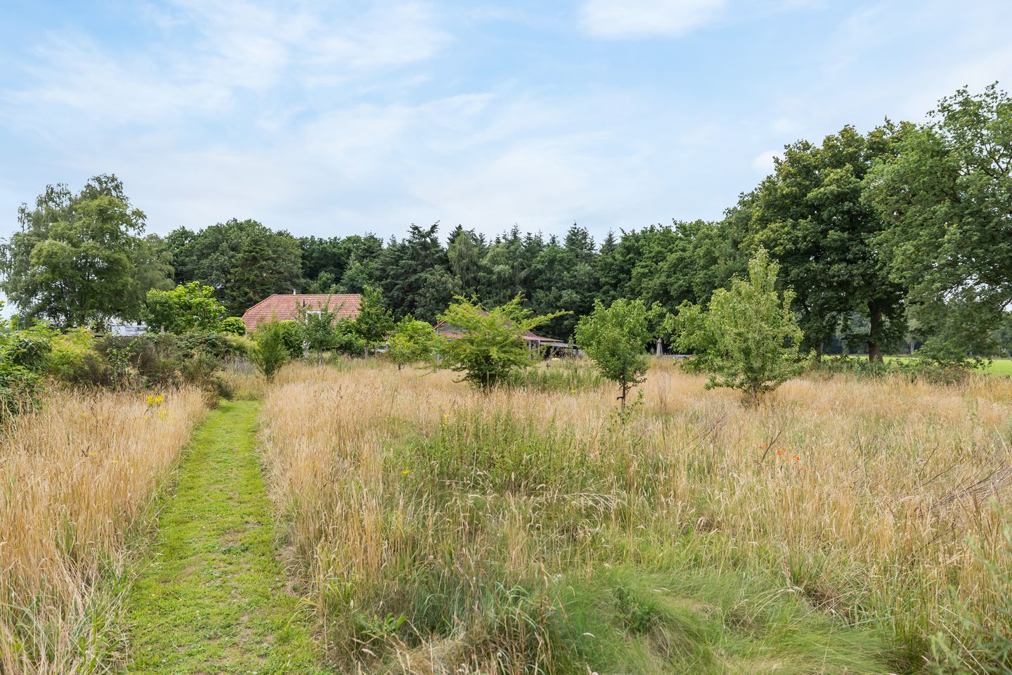 Foto 59 van Tijsweg 1