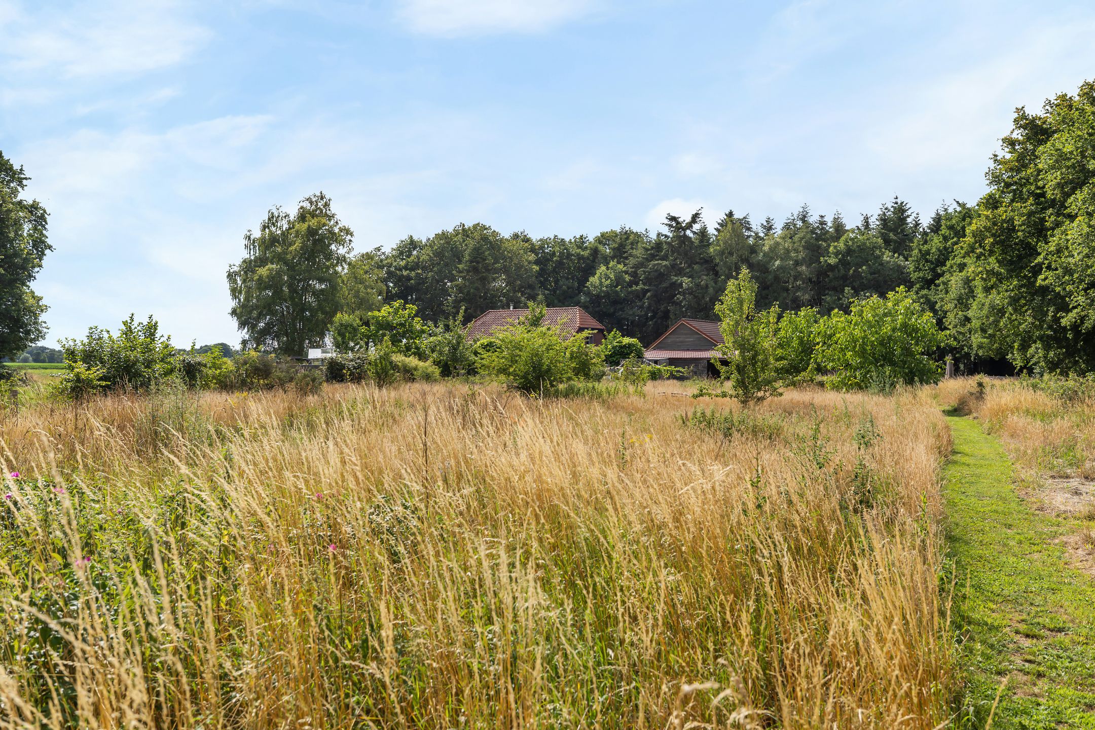 Foto 66 van Tijsweg 1