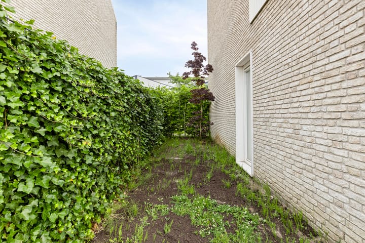 Foto 22 van Anodehof 23