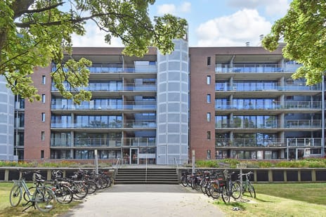 undefined main image