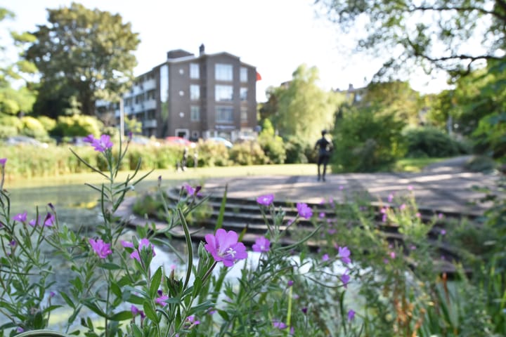 Foto 46 van Cornelis de Wittlaan 86