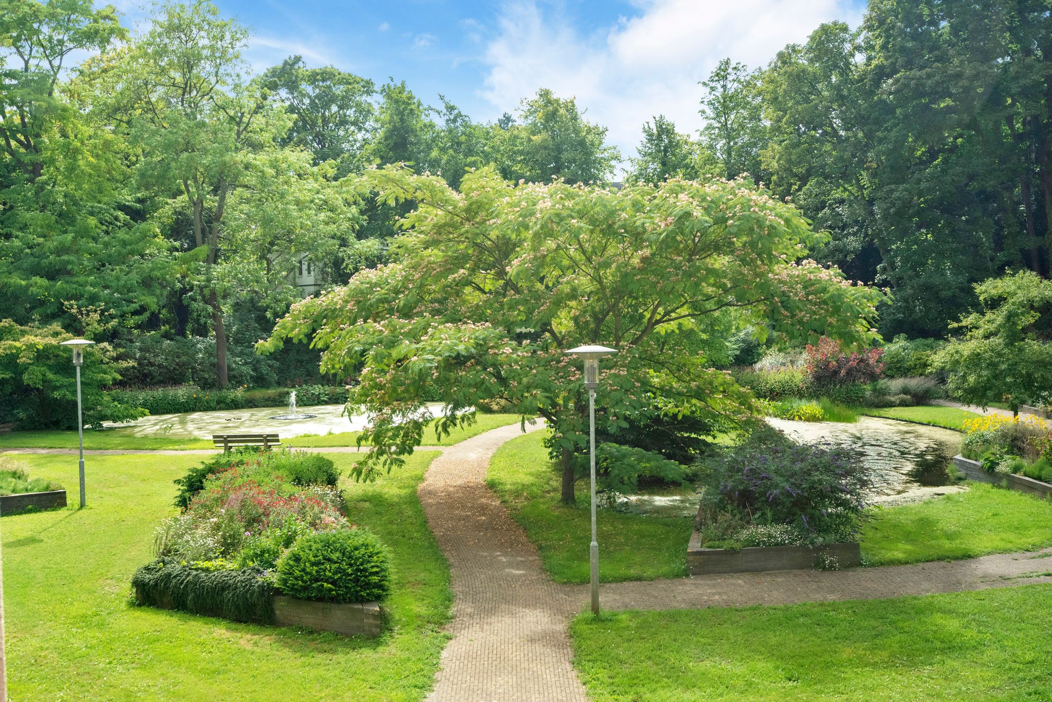 Foto 3 van Bloemendaalseweg 136-A23