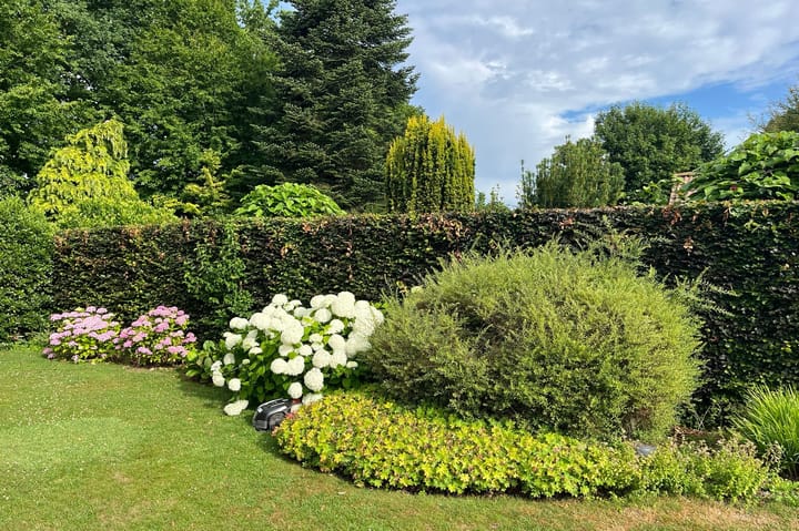 Foto 35 van Voorstraat 6