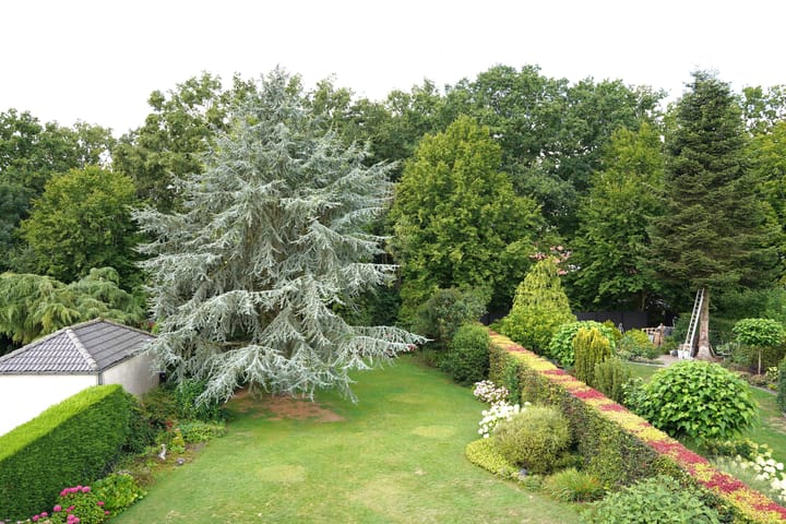 Foto 36 van Voorstraat 6