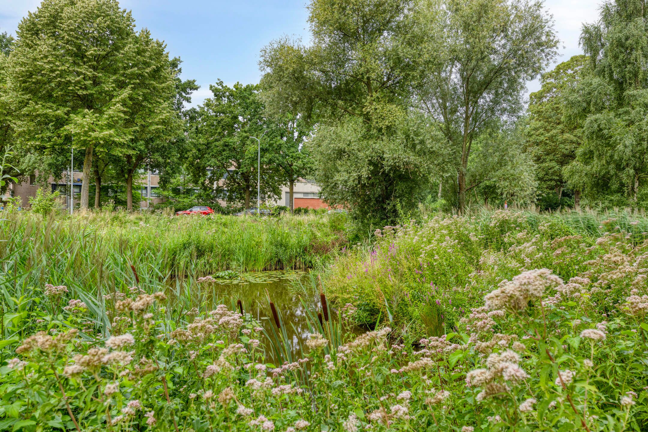 Foto 21 van Rijnbeekstraat 97