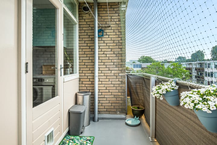 Foto 23 van Cornelis Pronklaan 151