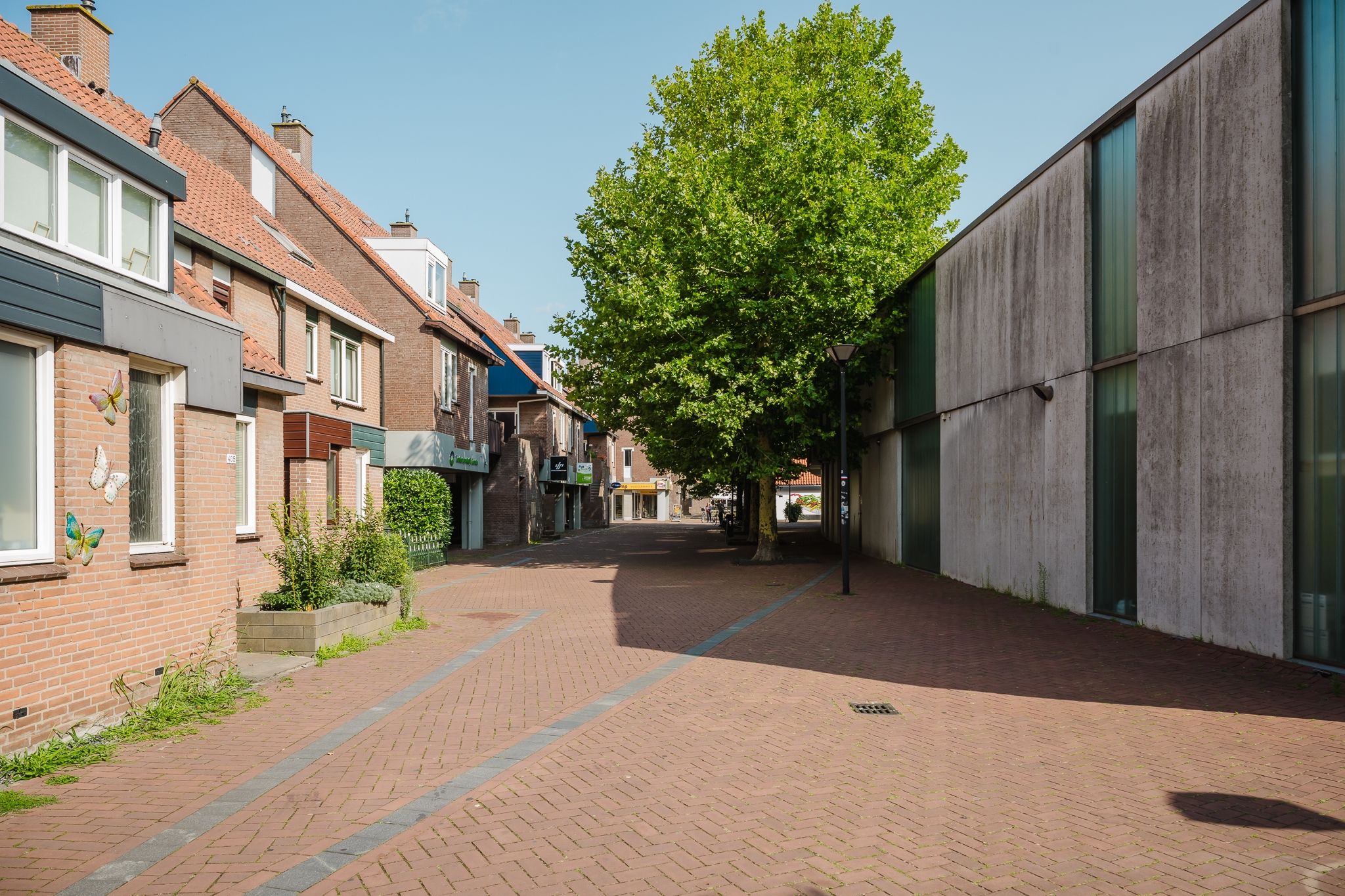 Foto 24 van Vlinderveen 2408