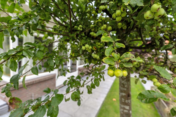 Foto 38 van Grote Kerk 7