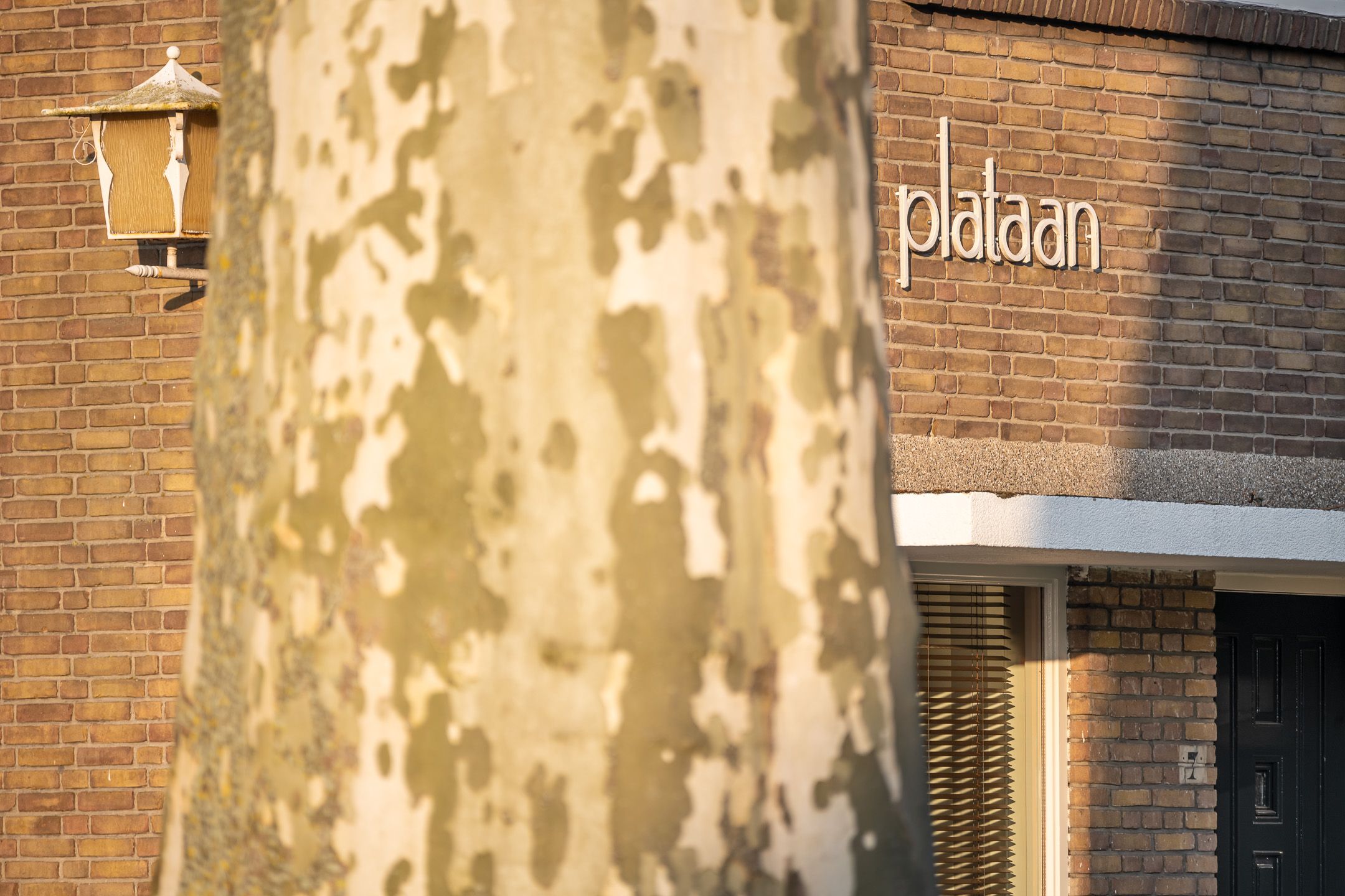 Foto 48 van Grote Kerk 7