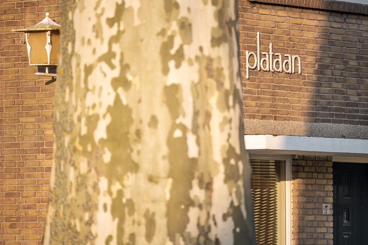 Foto 48 van Grote Kerk 7