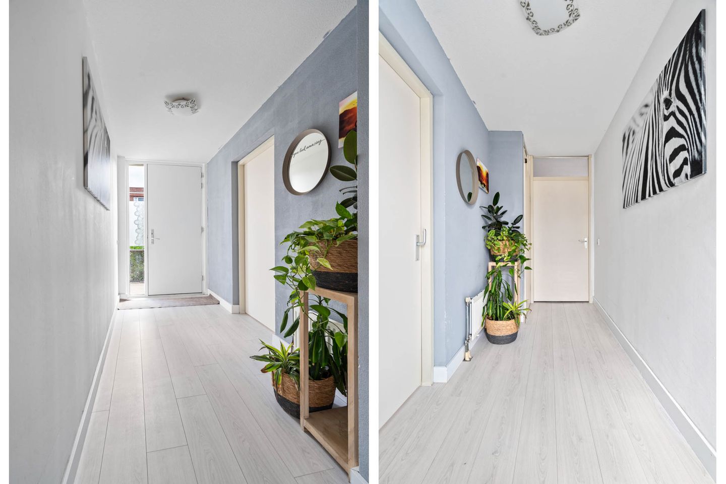 Foto 20 van Tiranastraat 40