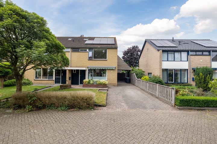 Foto 3 van Hazenpad 3