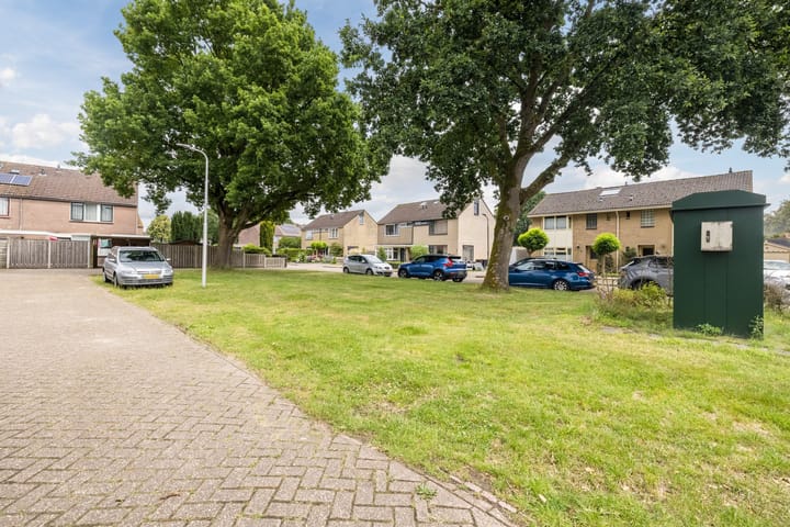 Foto 41 van Hazenpad 3