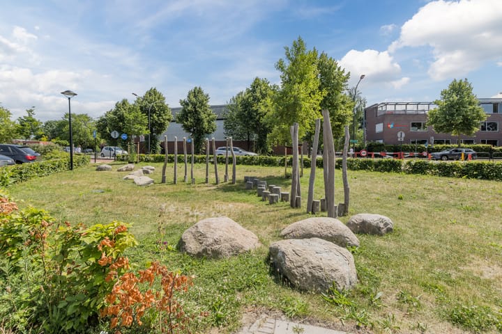 Foto 31 van Ringslang 9