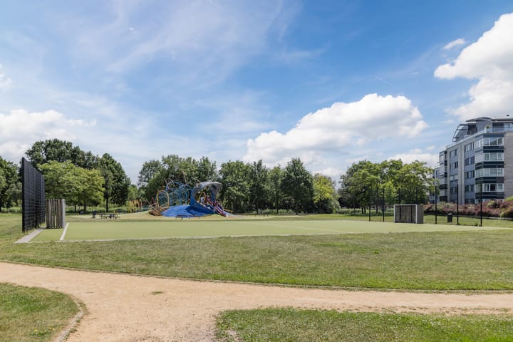 Foto 32 van Ringslang 9