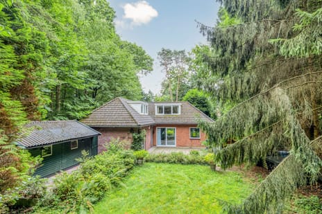 undefined main image