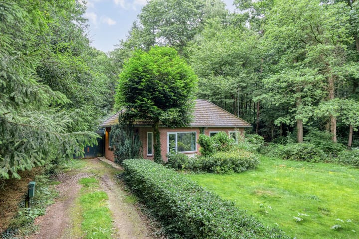 Foto 3 van Jodendijk 10