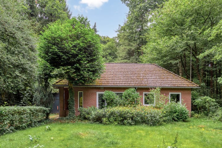 Foto 5 van Jodendijk 10