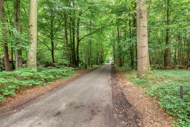 Foto 49 van Jodendijk 10