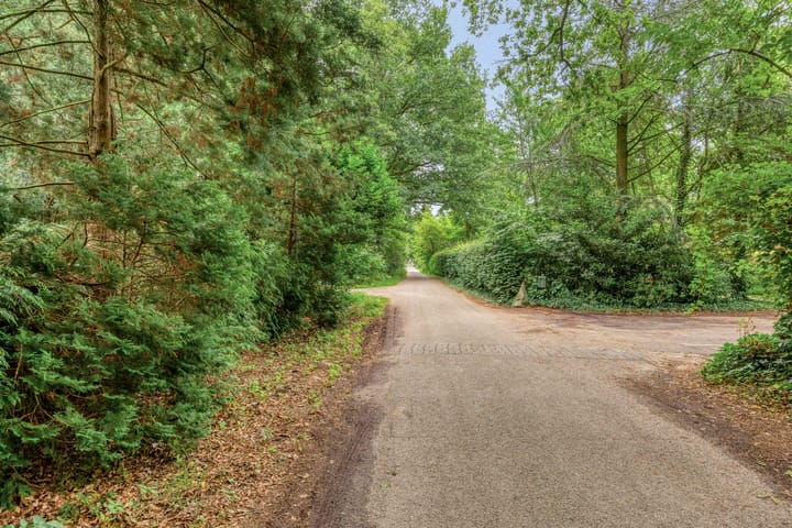 Foto 50 van Jodendijk 10