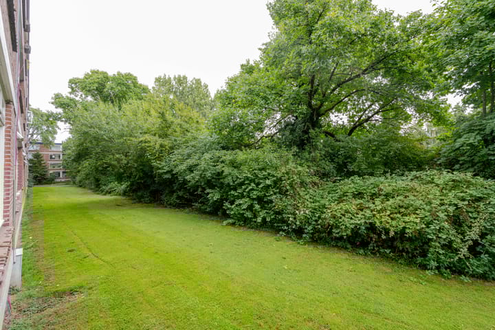 Foto 21 van Ruigoord 66