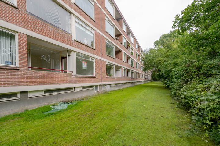 Foto 23 van Ruigoord 66