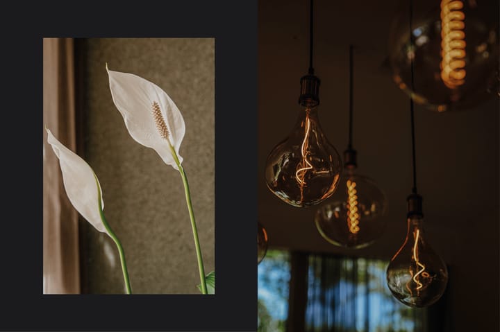 Photo 14 of Mussenlaan 2