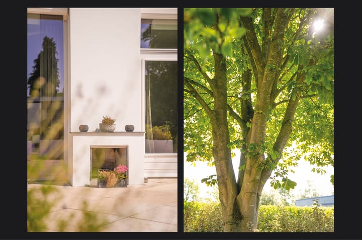 Photo 59 of Mussenlaan 2