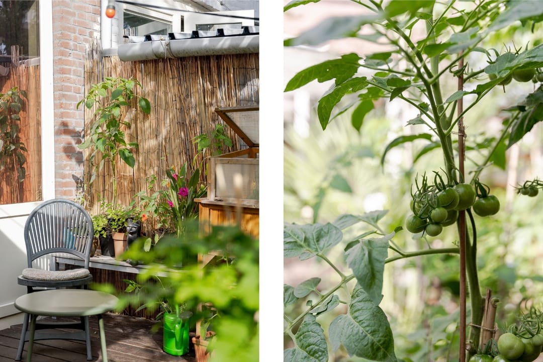 Foto 52 van Lisstraat 40-A