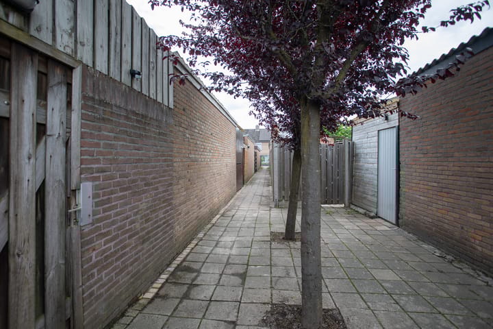 Foto 49 van Cato Elderinklaan 41