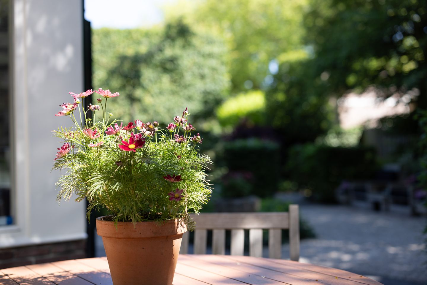 Photo 70 of Thorbeckelaan 2