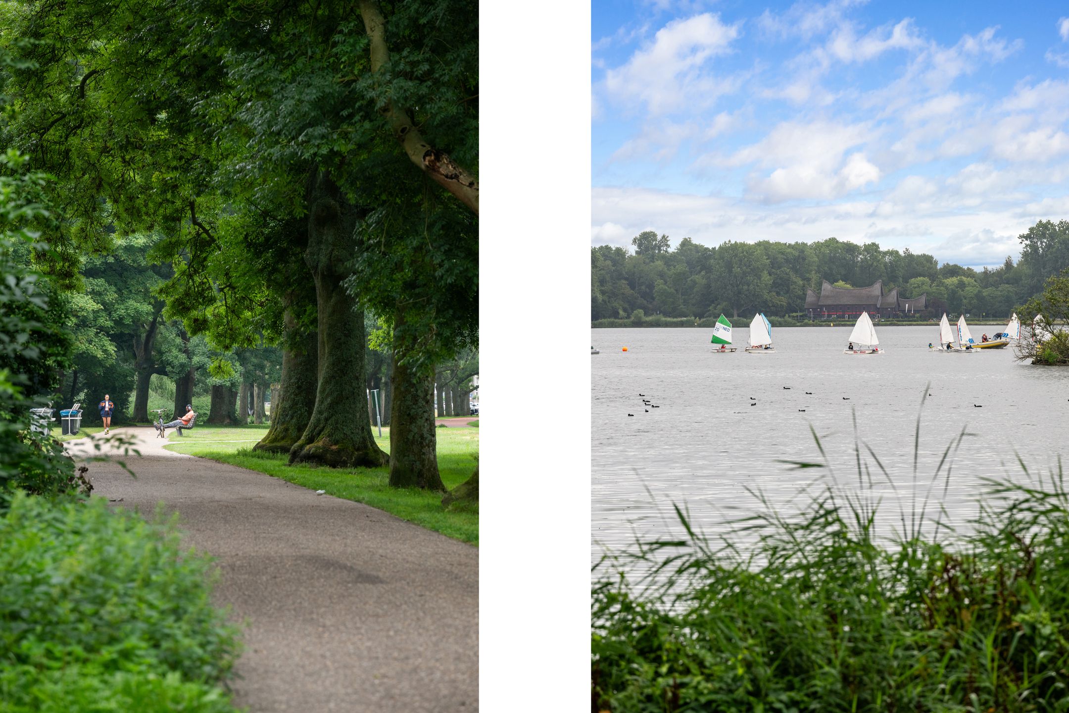 Photo 6 of Kralingse Plaslaan 46