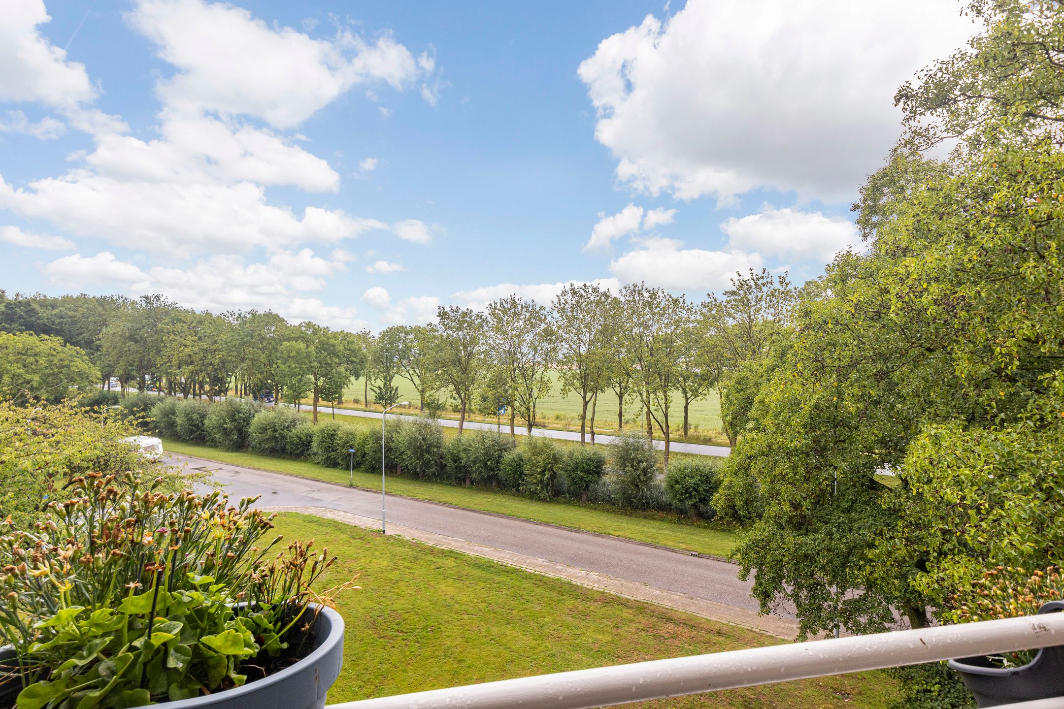 Foto 24 van Groen van Prinstererstraat 125