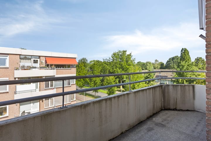 Photo 12 of Zaaier 116