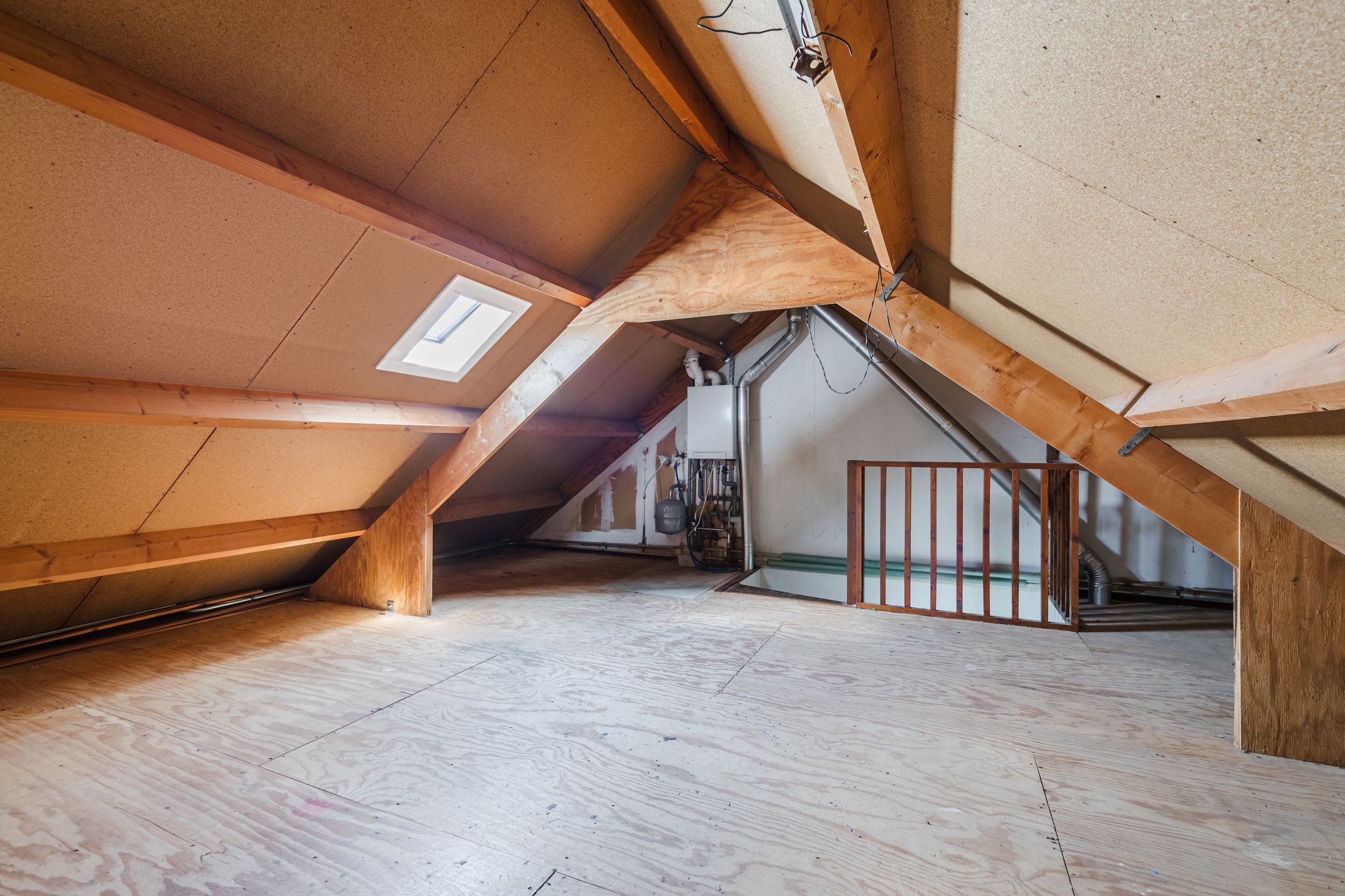 Foto 18 van Sleedoorn 53