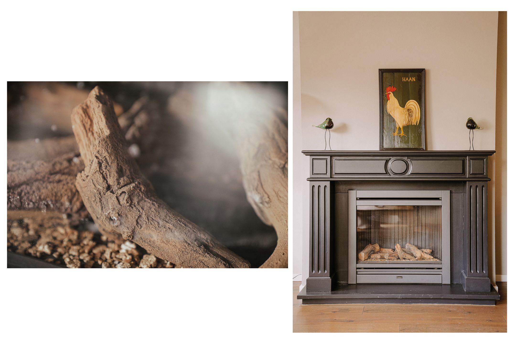 Photo 6 of Willem de Zwijgerstraat 94