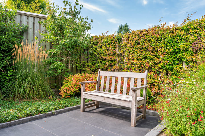 Foto 48 van Saffier 26