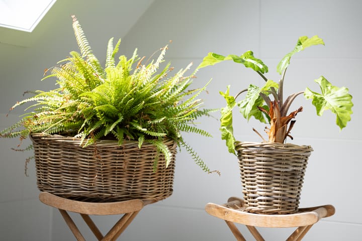 Foto 29 van Oostdijk 13-F