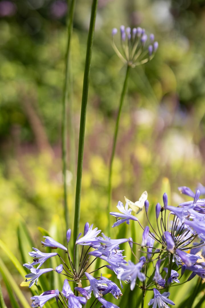 Foto 50 van Oostdijk 13-F