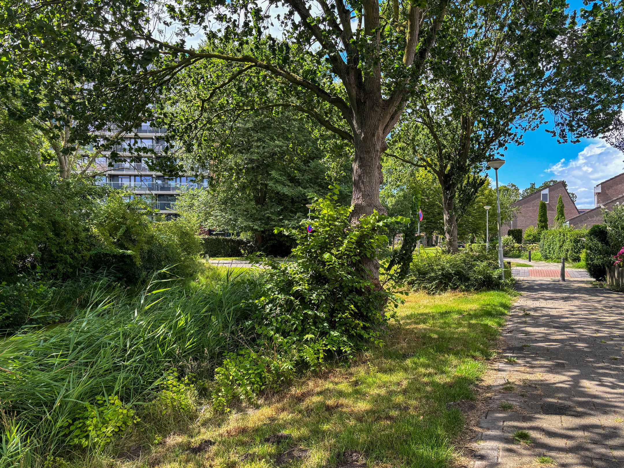 Photo 33 of Ardennenlaan 13