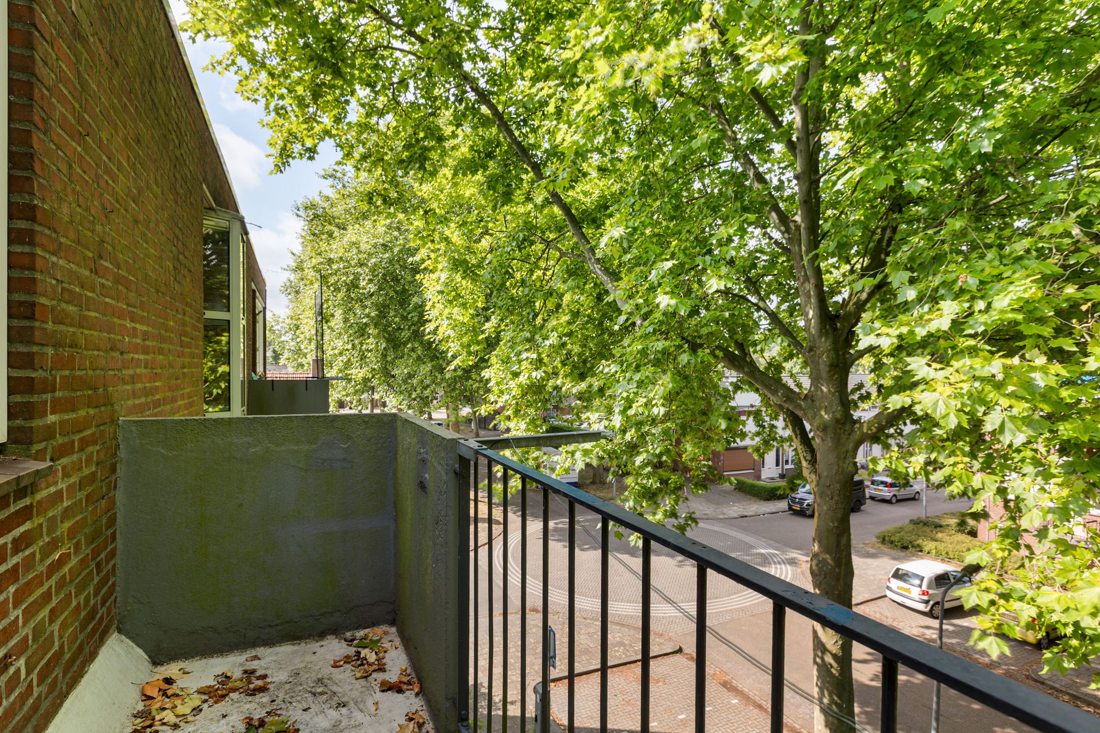 Foto 3 van Elisabethsdal 14