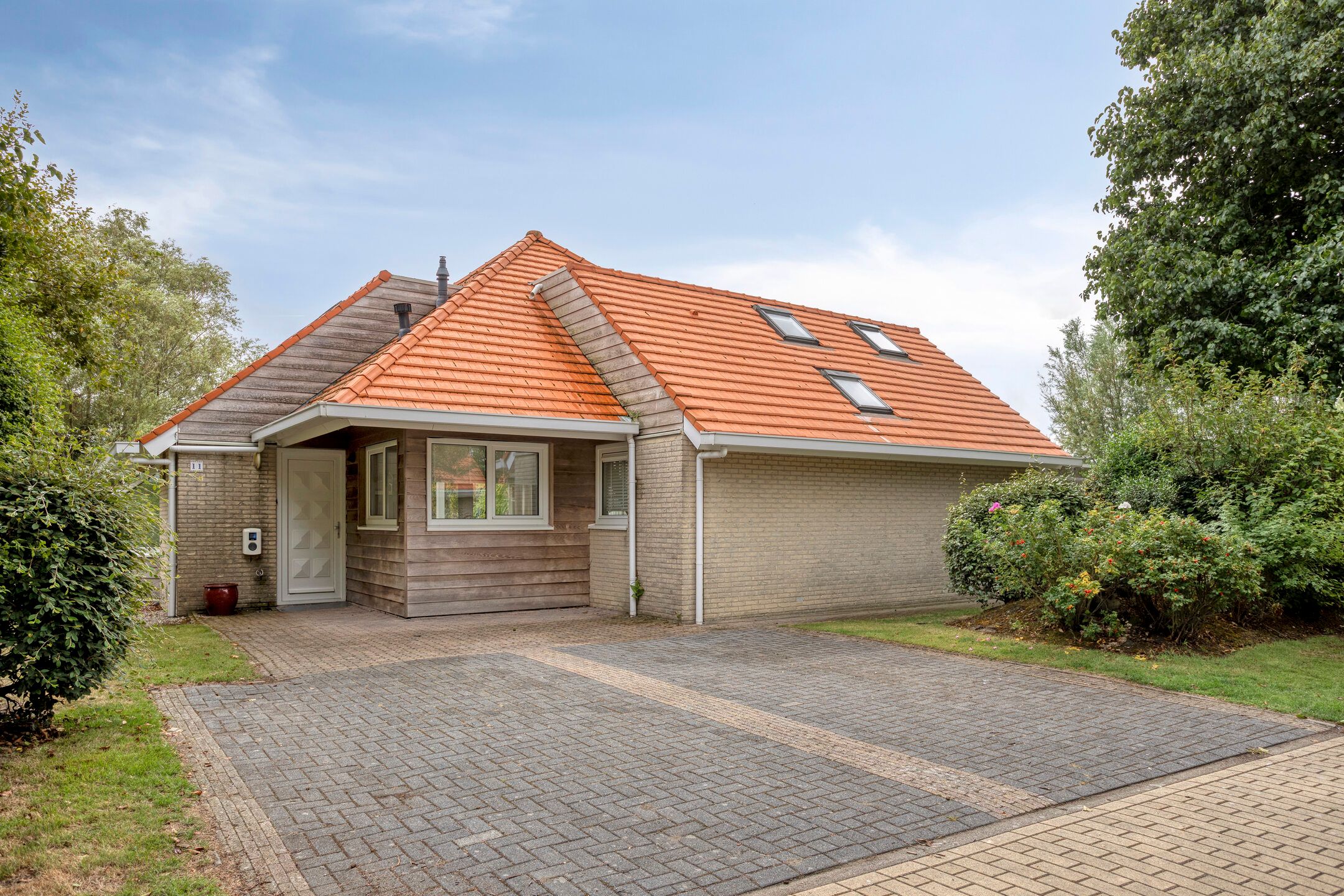 Foto 6 van Meerkoet 11