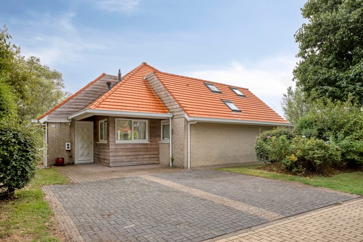 Photo 4 of Meerkoet 11