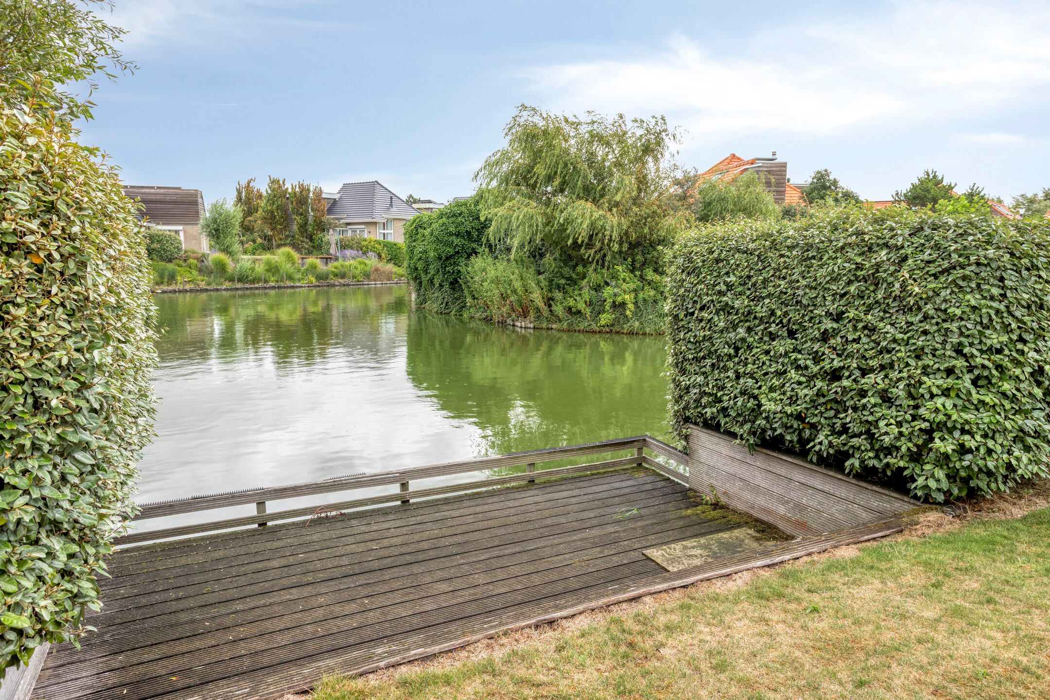 Foto 18 van Meerkoet 11