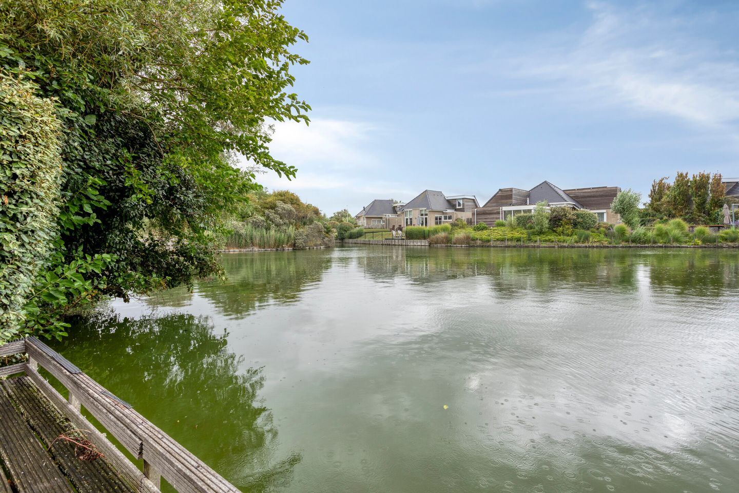 Foto 19 van Meerkoet 11