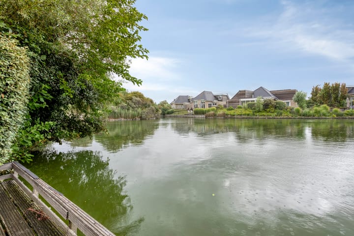 Photo 17 of Meerkoet 11