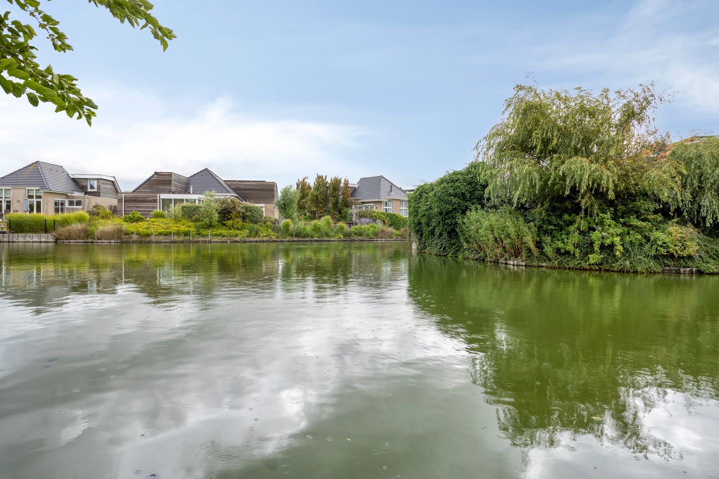 Foto 20 van Meerkoet 11