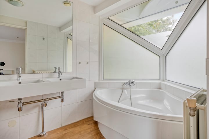 Photo 24 of Meerkoet 11