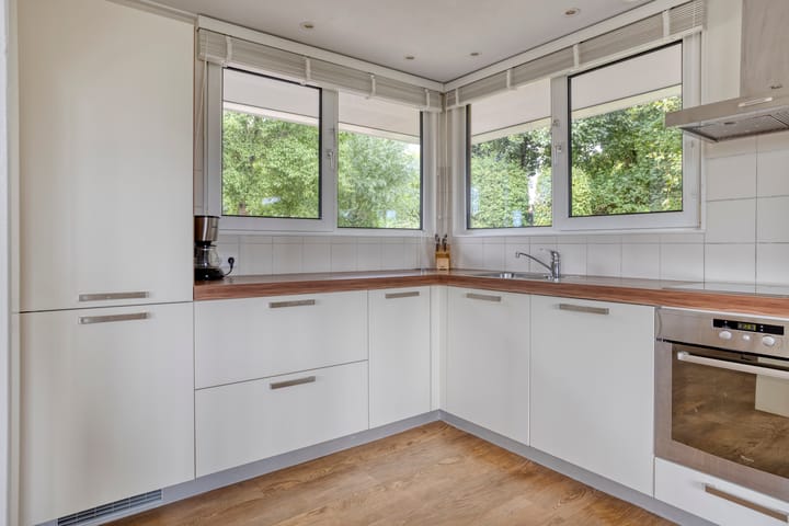 Photo 19 of Meerkoet 11